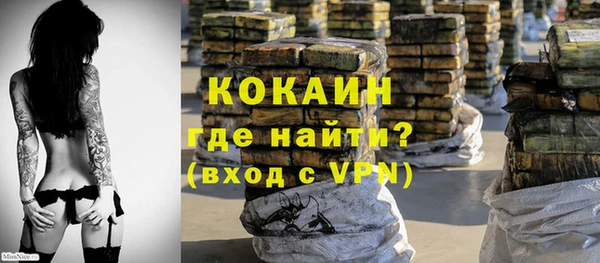 PSILOCYBIN Кодинск