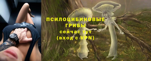 стафф Козельск