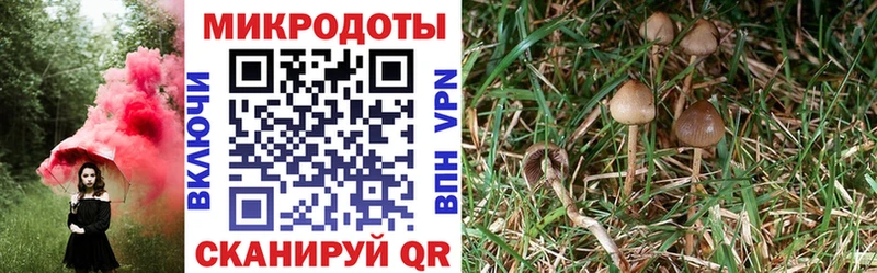 Псилоцибиновые грибы мухоморы  Купить где  Вятские Поляны 